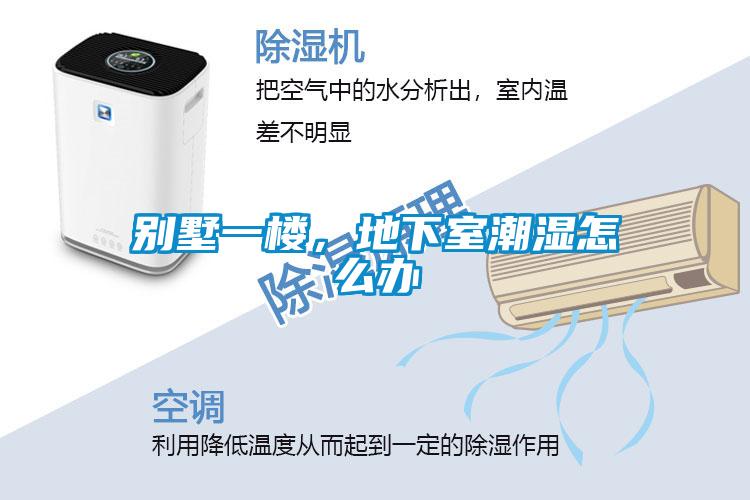 別墅一樓，地下室潮濕怎么辦