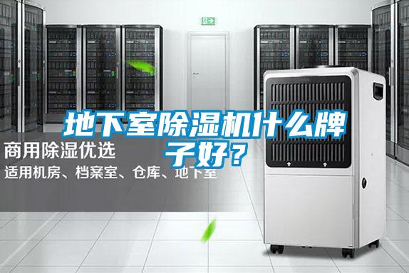 地下室除濕機(jī)什么牌子好？