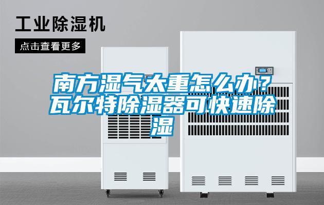 南方濕氣太重怎么辦？瓦爾特除濕器可快速除濕