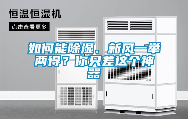如何能除濕、新風(fēng)一舉兩得？你只差這個(gè)神器