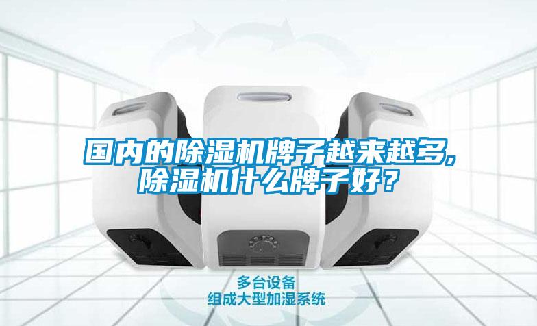 國(guó)內(nèi)的除濕機(jī)牌子越來(lái)越多,除濕機(jī)什么牌子好？