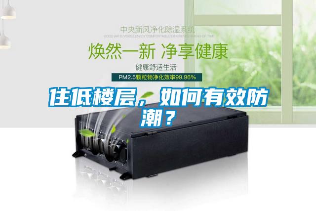住低樓層，如何有效防潮？