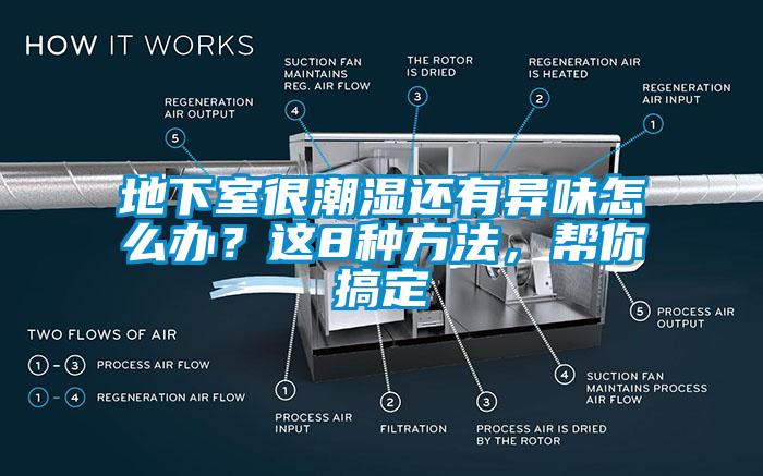 地下室很潮濕還有異味怎么辦？這8種方法，幫你搞定