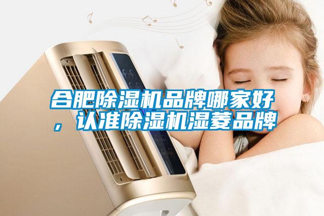 合肥除濕機品牌哪家好，認準除濕機濕菱品牌