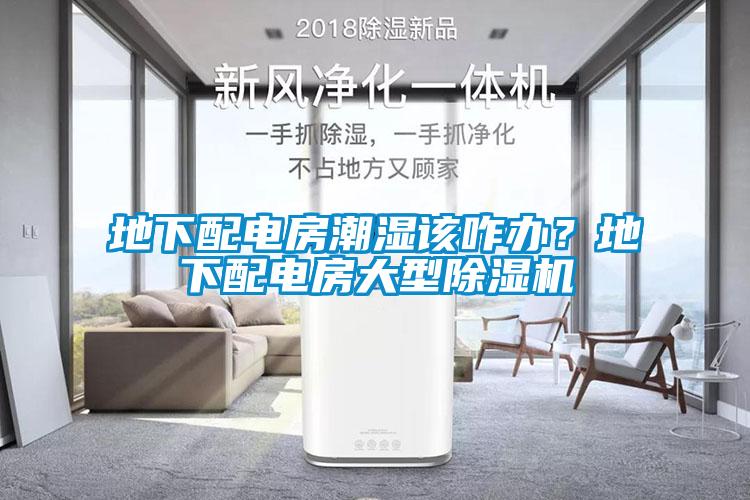 地下配電房潮濕該咋辦？地下配電房大型除濕機