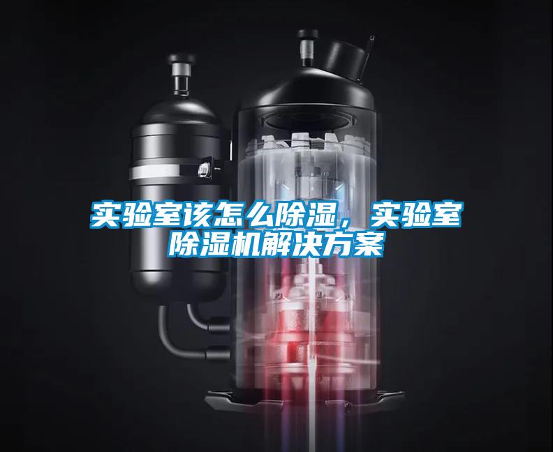 實驗室該怎么除濕，實驗室除濕機解決方案