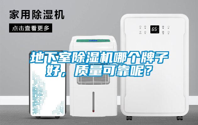 地下室除濕機(jī)哪個牌子好，質(zhì)量可靠呢？