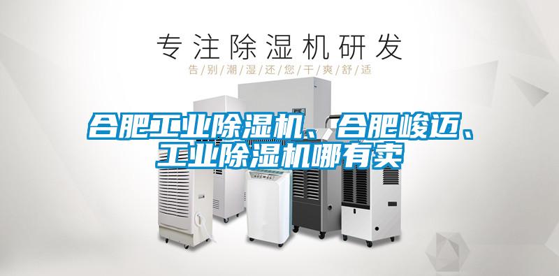 合肥工業(yè)除濕機(jī)、合肥峻邁、工業(yè)除濕機(jī)哪有賣