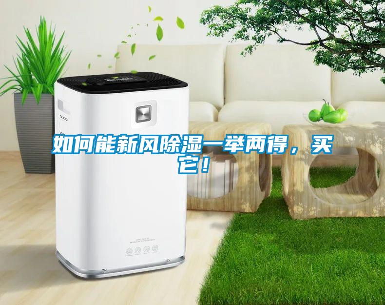 如何能新風(fēng)除濕一舉兩得，買(mǎi)它！
