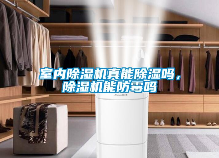 室內(nèi)除濕機(jī)真能除濕嗎，除濕機(jī)能防霉嗎