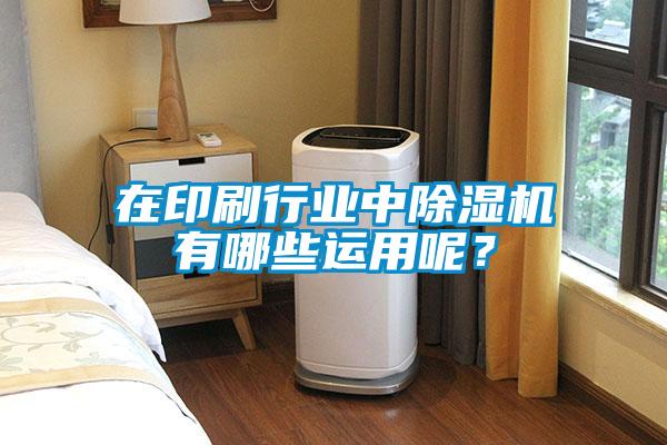 在印刷行業(yè)中除濕機(jī)有哪些運(yùn)用呢？