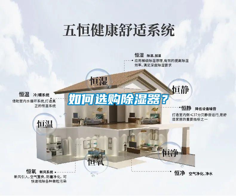 如何選購除濕器？