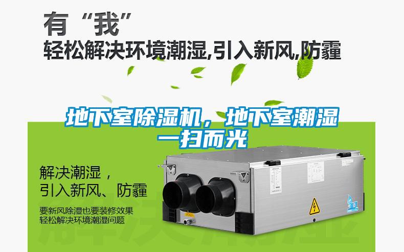 地下室除濕機，地下室潮濕一掃而光