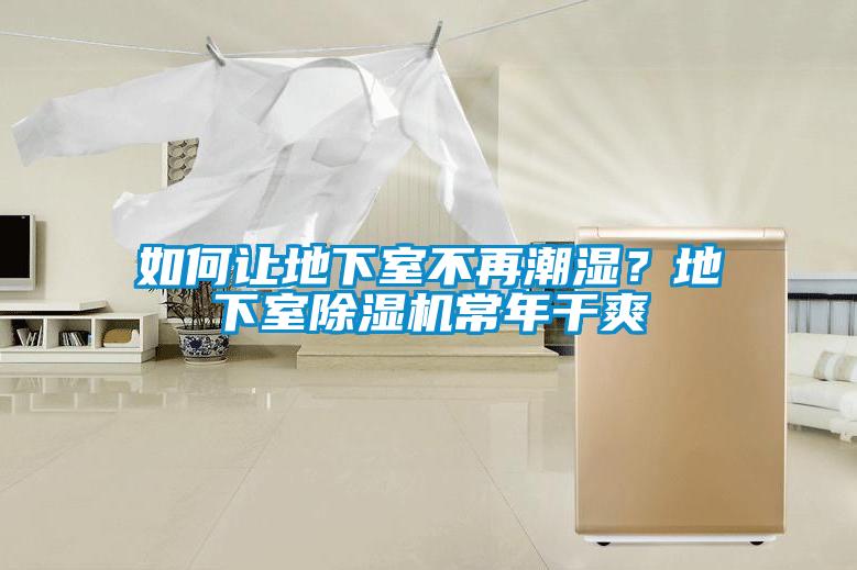 如何讓地下室不再潮濕？地下室除濕機(jī)常年干爽