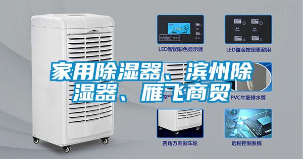 家用除濕器、濱州除濕器、雁飛商貿(mào)