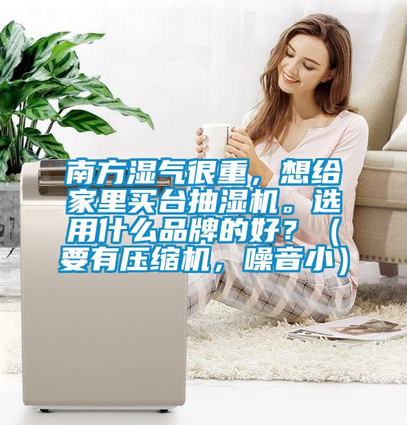 南方濕氣很重，想給家里買臺抽濕機(jī)。選用什么品牌的好？（要有壓縮機(jī)，噪音?。?/></p>
						    <p style=