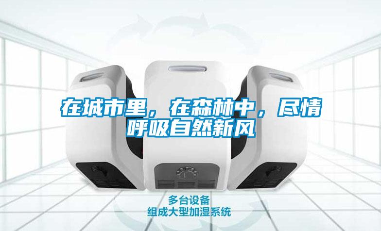 在城市里，在森林中，盡情呼吸自然新風
