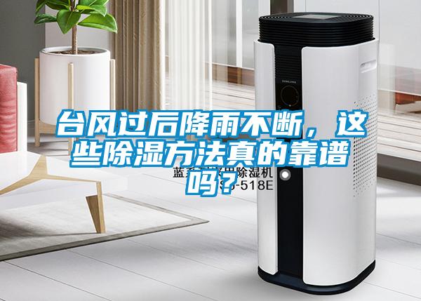 臺(tái)風(fēng)過后降雨不斷，這些除濕方法真的靠譜嗎？
