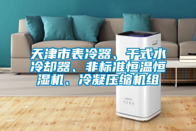 天津市表冷器、干式水冷卻器、非標(biāo)準(zhǔn)恒溫恒濕機(jī)、冷凝壓縮機(jī)組