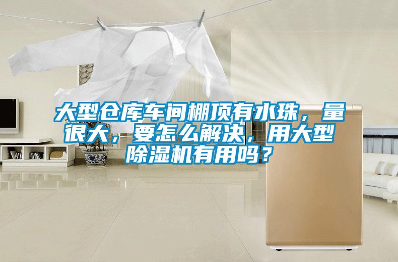 大型倉庫車間棚頂有水珠，量很大，要怎么解決，用大型除濕機(jī)有用嗎？