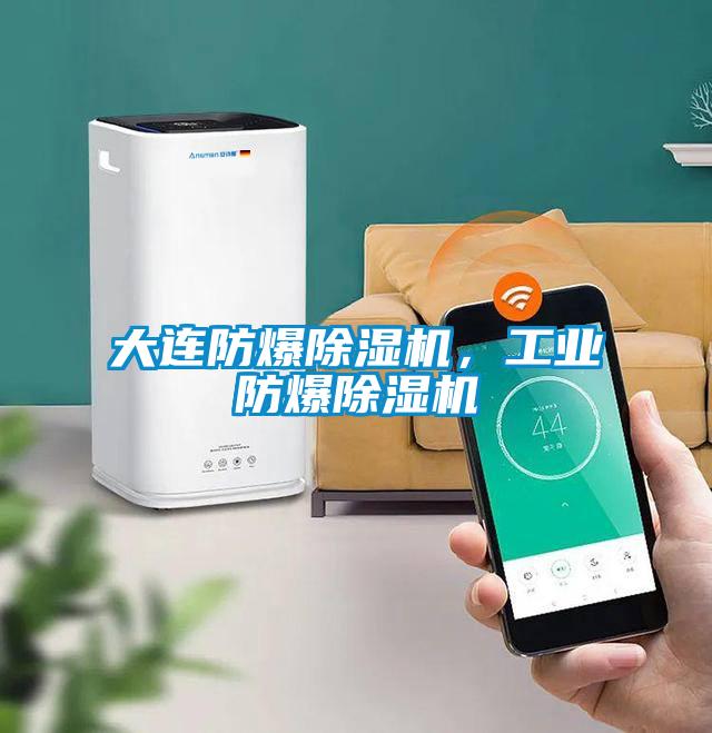 大連防爆除濕機(jī)，工業(yè)防爆除濕機(jī)