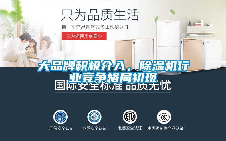 大品牌積極介入，除濕機行業(yè)競爭格局初現(xiàn)