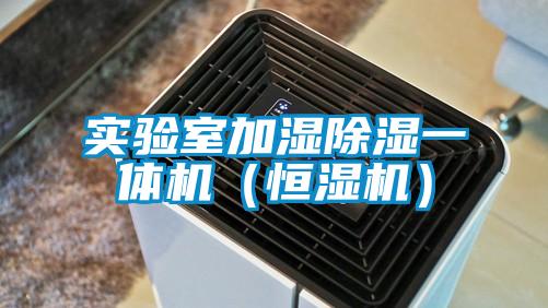 實(shí)驗室加濕除濕一體機(jī)（恒濕機(jī)）