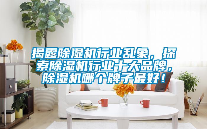 揭露除濕機行業(yè)亂象，探索除濕機行業(yè)十大品牌，除濕機哪個牌子最好！