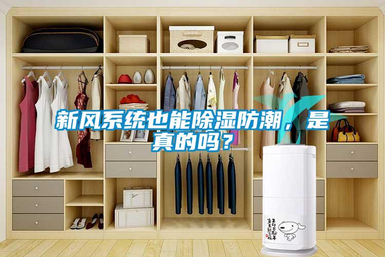 新風(fēng)系統(tǒng)也能除濕防潮，是真的嗎？