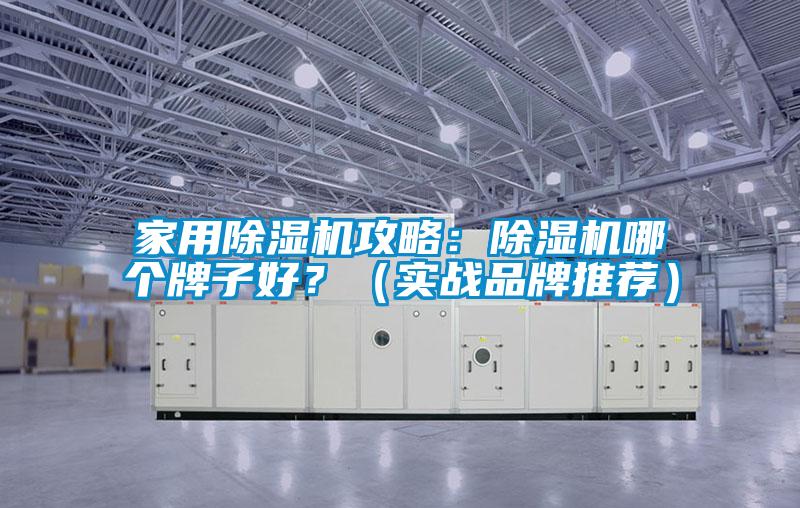 家用除濕機(jī)攻略：除濕機(jī)哪個(gè)牌子好？（實(shí)戰(zhàn)品牌推薦）