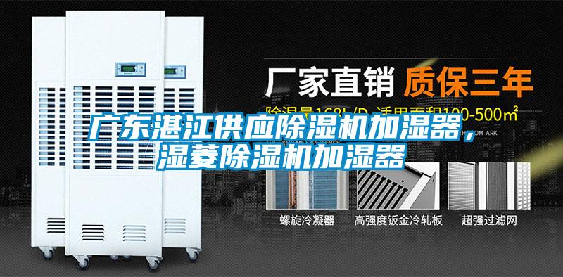 廣東湛江供應(yīng)除濕機(jī)加濕器，濕菱除濕機(jī)加濕器