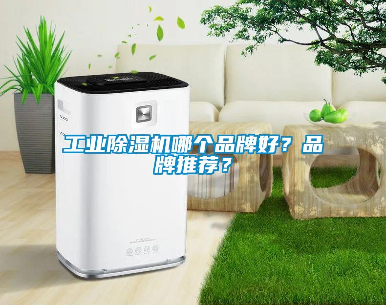工業(yè)除濕機哪個品牌好？品牌推薦？