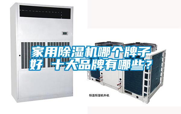家用除濕機哪個牌子好 十大品牌有哪些？