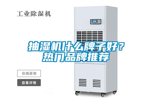 抽濕機(jī)什么牌子好？熱門品牌推薦