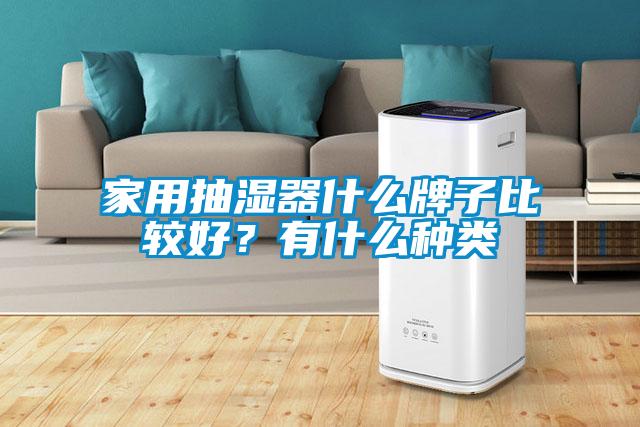 家用抽濕器什么牌子比較好？有什么種類