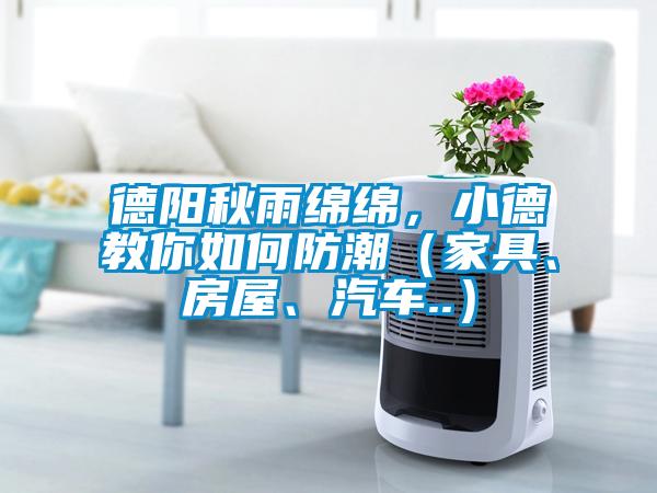 德陽秋雨綿綿，小德教你如何防潮（家具、房屋、汽車..）