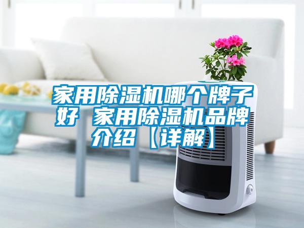 家用除濕機(jī)哪個牌子好 家用除濕機(jī)品牌介紹【詳解】