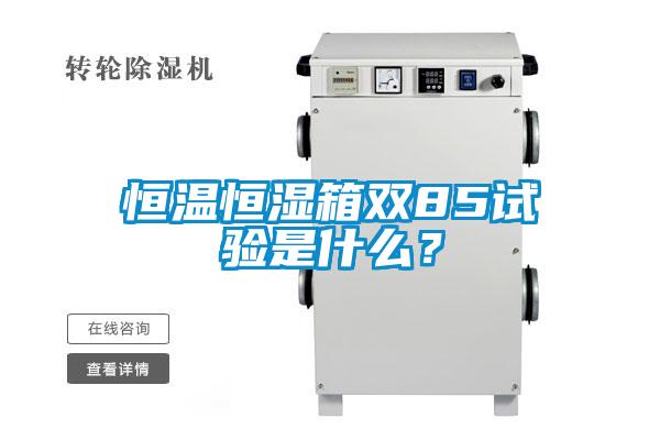 恒溫恒濕箱雙85試驗是什么？