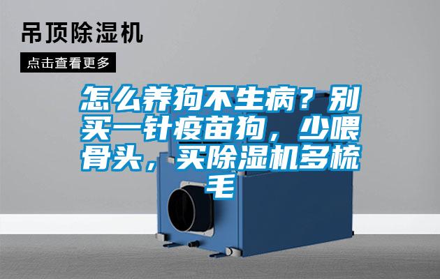 怎么養(yǎng)狗不生??？別買一針疫苗狗，少喂骨頭，買除濕機(jī)多梳毛