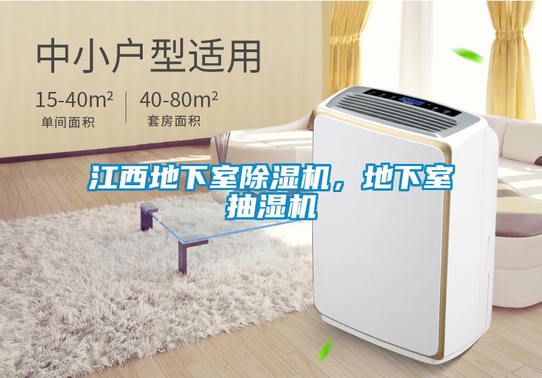 江西地下室除濕機(jī)，地下室抽濕機(jī)