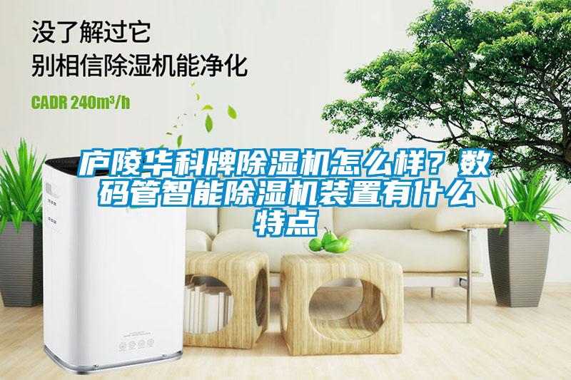廬陵華科牌除濕機怎么樣？數(shù)碼管智能除濕機裝置有什么特點