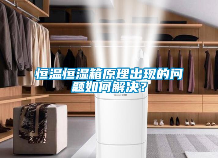 恒溫恒濕箱原理出現(xiàn)的問題如何解決？