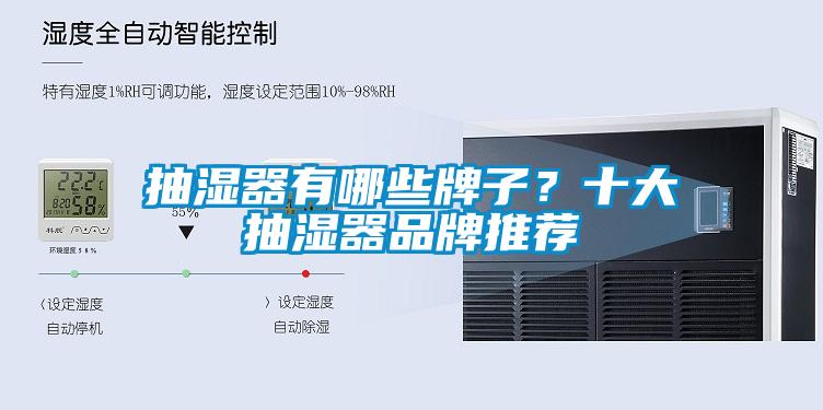 抽濕器有哪些牌子？十大抽濕器品牌推薦