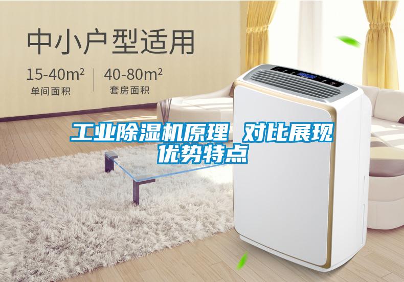 工業(yè)除濕機原理 對比展現優(yōu)勢特點