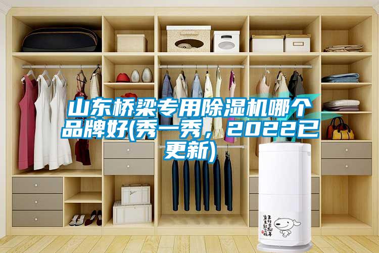 山東橋梁專用除濕機(jī)哪個品牌好(秀一秀，2022已更新)