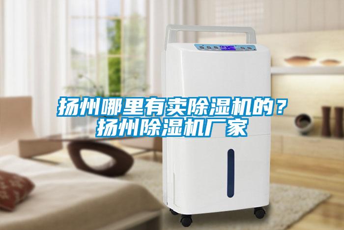 揚(yáng)州哪里有賣(mài)除濕機(jī)的？揚(yáng)州除濕機(jī)廠家