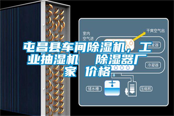 屯昌縣車間除濕機，工業(yè)抽濕機  除濕器廠家 價格