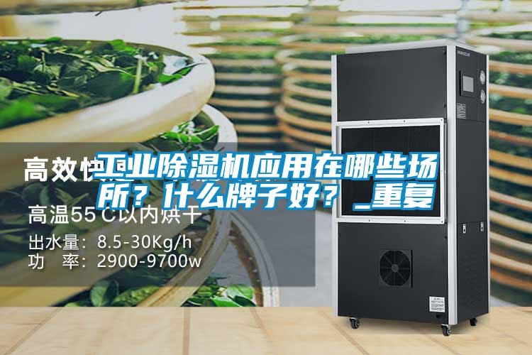 工業(yè)除濕機(jī)應(yīng)用在哪些場所？什么牌子好？_重復(fù)