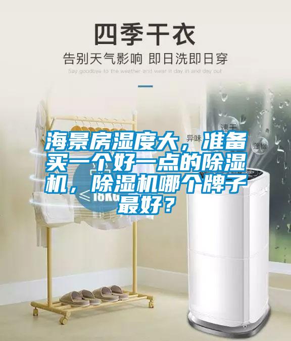 海景房濕度大，準備買一個好一點的除濕機，除濕機哪個牌子最好？