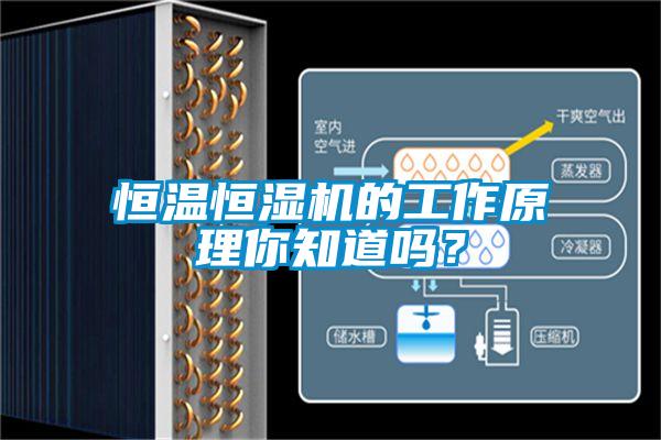 恒溫恒濕機的工作原理你知道嗎？